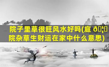 院子里草很旺风水好吗(庭 🦈 院杂草生财运在家中什么意思)